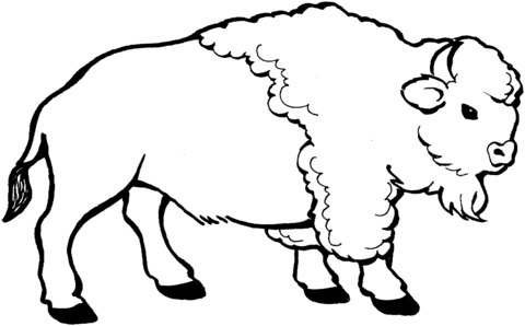 Young Bison Coloring Page